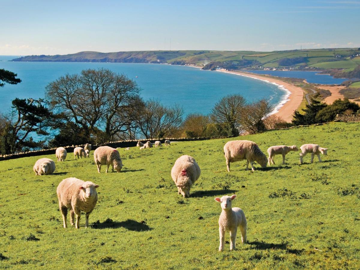 1 At The Beach Beesands Экстерьер фото